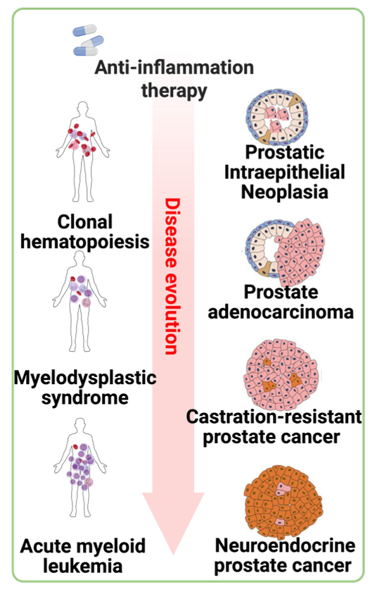 Environmental exposures and disease
